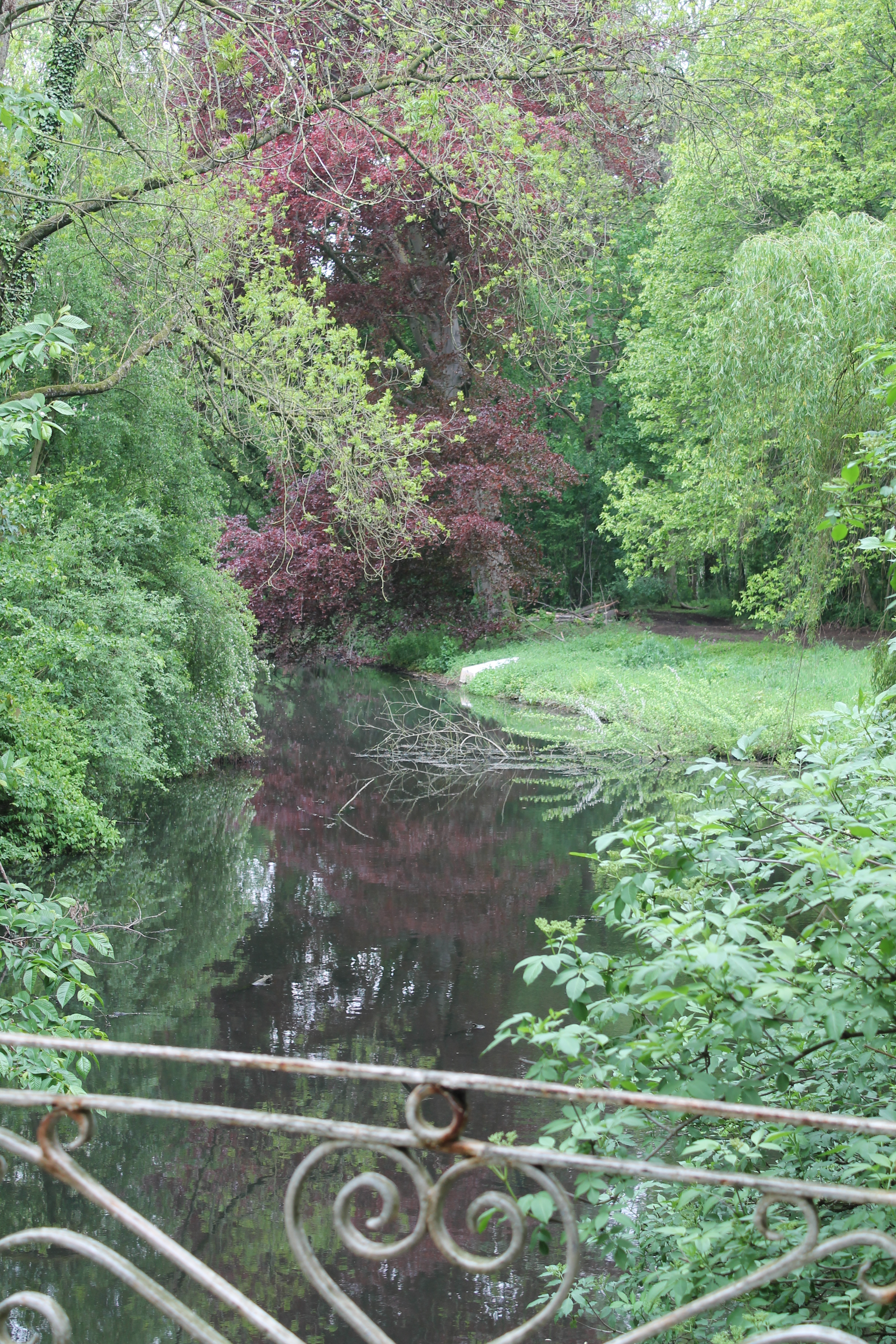 Le chateau et son parc