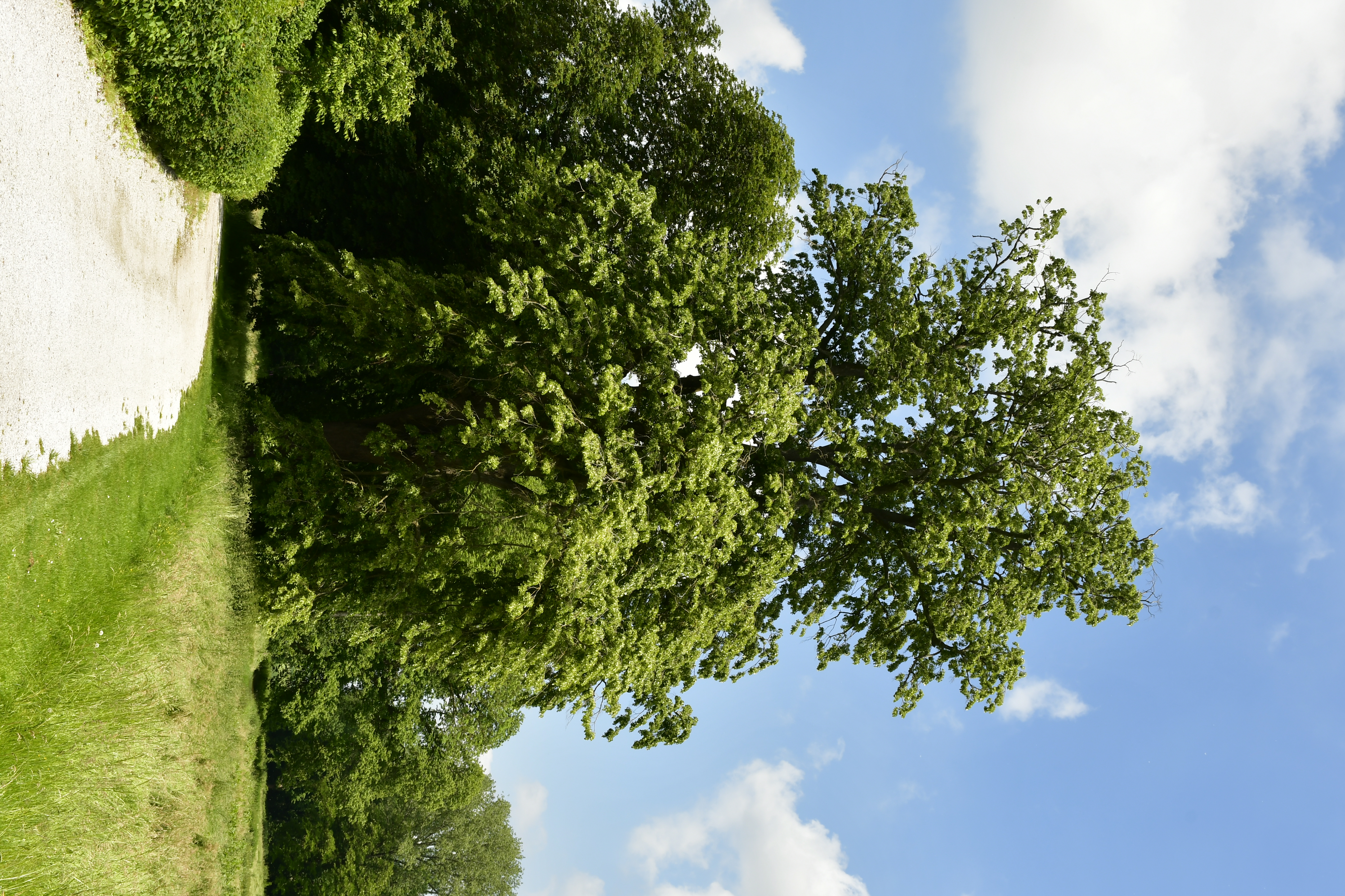 Architecture neo-Renaissance