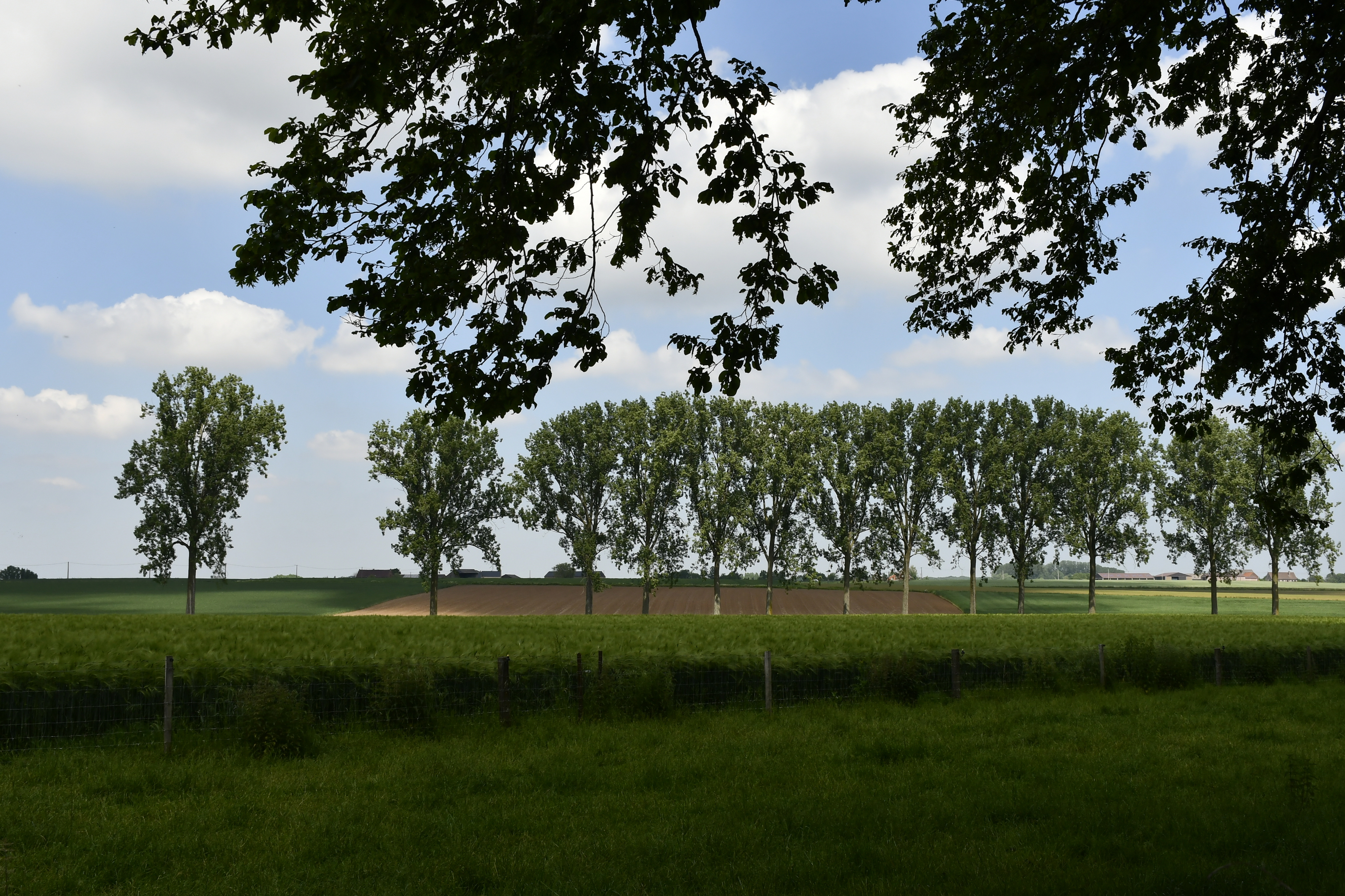 Des châteaux et des Hommes